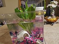 Review Image by Momiof2 Momiof2