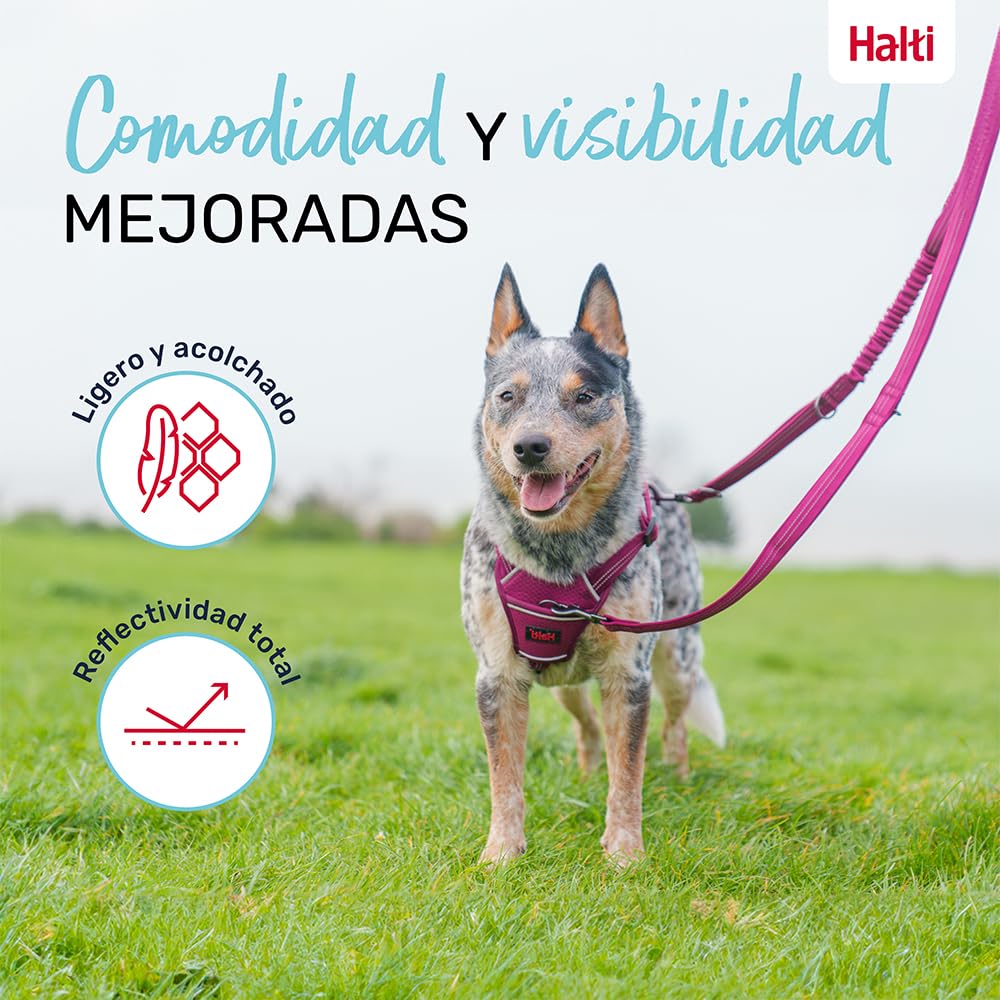 Correa Multifuncional para Perros HALTI Anatomy - Correa con Doble Enganche, Ideal para pasear y adiestrar Perros. Cómoda de Sujetar, Reflectante y Ligera. Adecuada para Cachorros (Talla L, Gris)