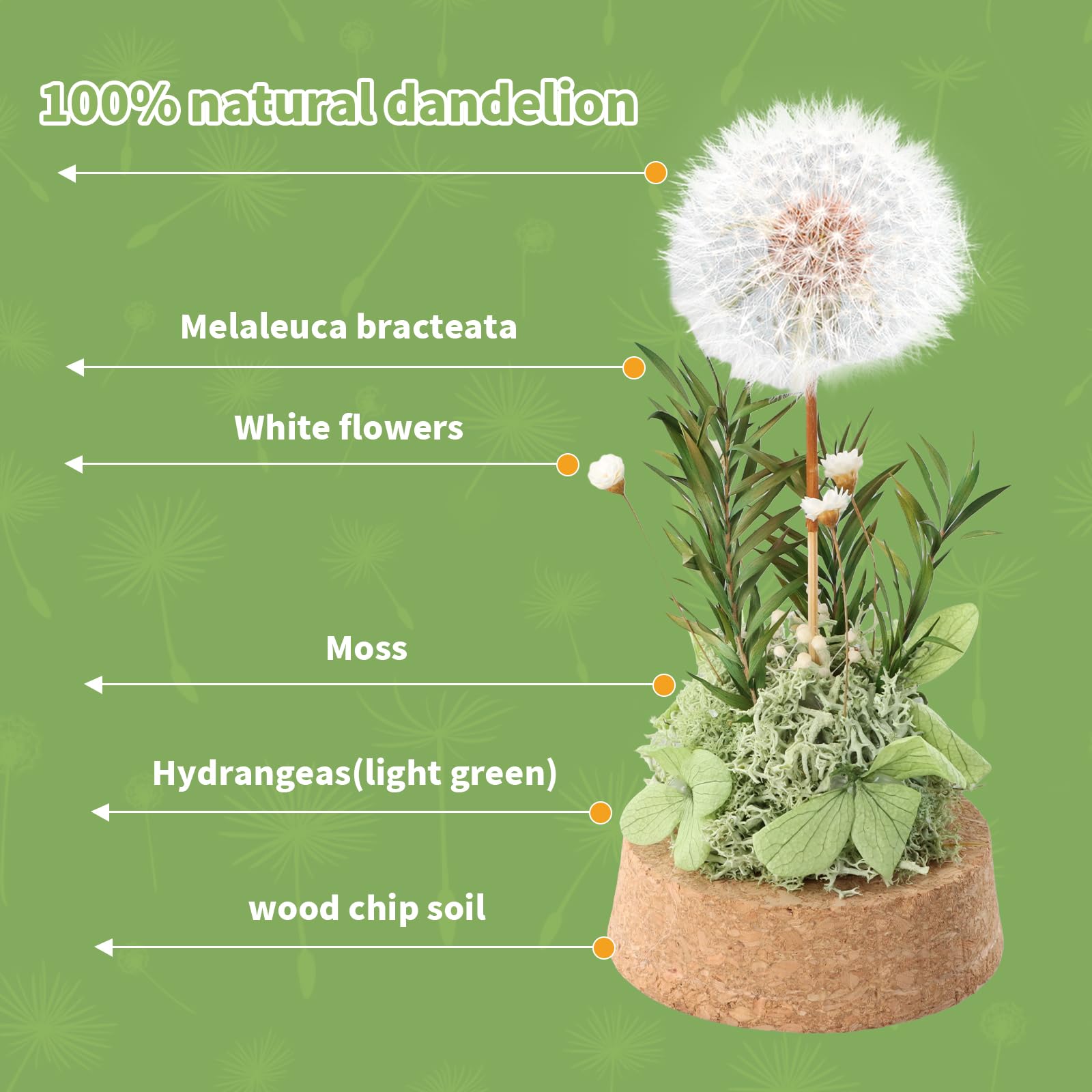 Dente di Leone Fiore Eterno in Vetro Decorativo Regalo, Fiori Conservati per Anniversario di Matrimonio Regalo Decorativo in Vetro per Donne Regalo Speciale per Moglie, Mamma, Nonna, Fidanzata