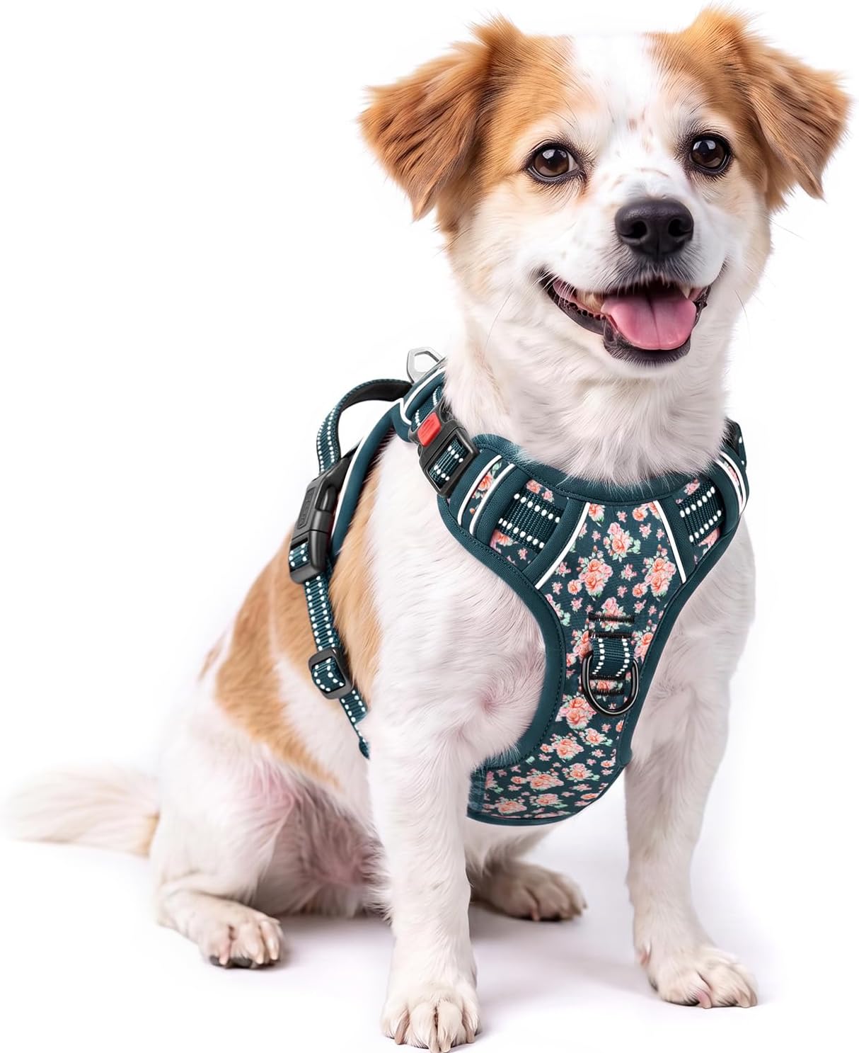 HEELE Dog Harness, Soft Padded, Easy On & Off, Flower Blackish Green, S