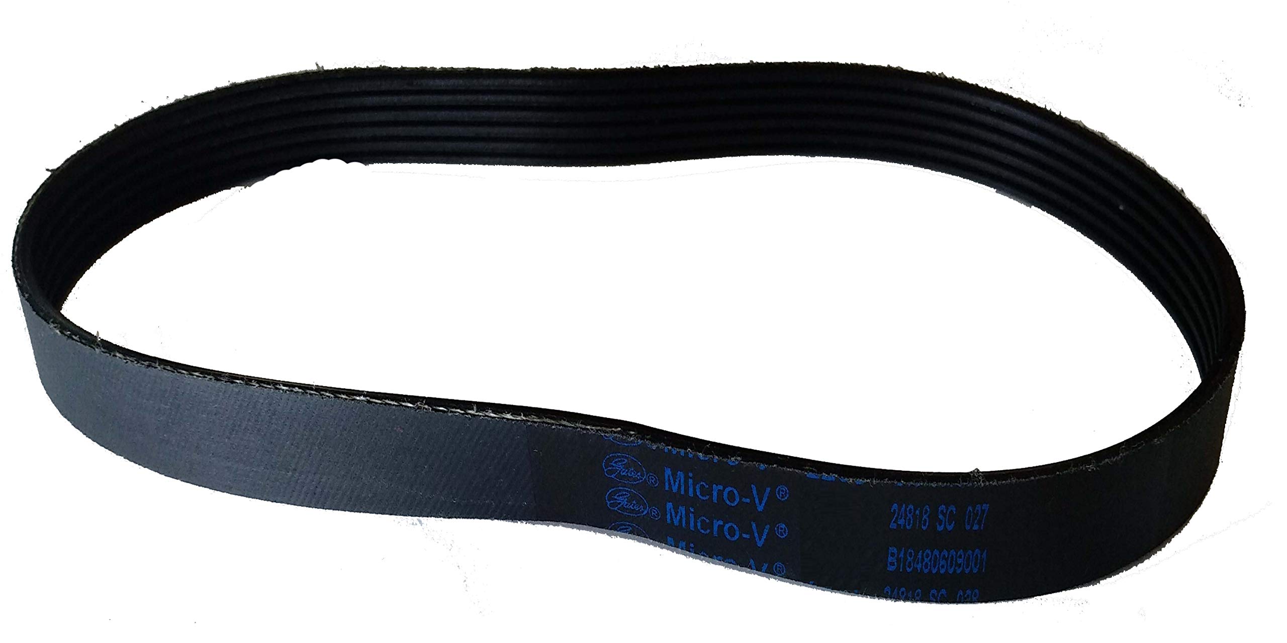 Treadmill Motor Belt Gates