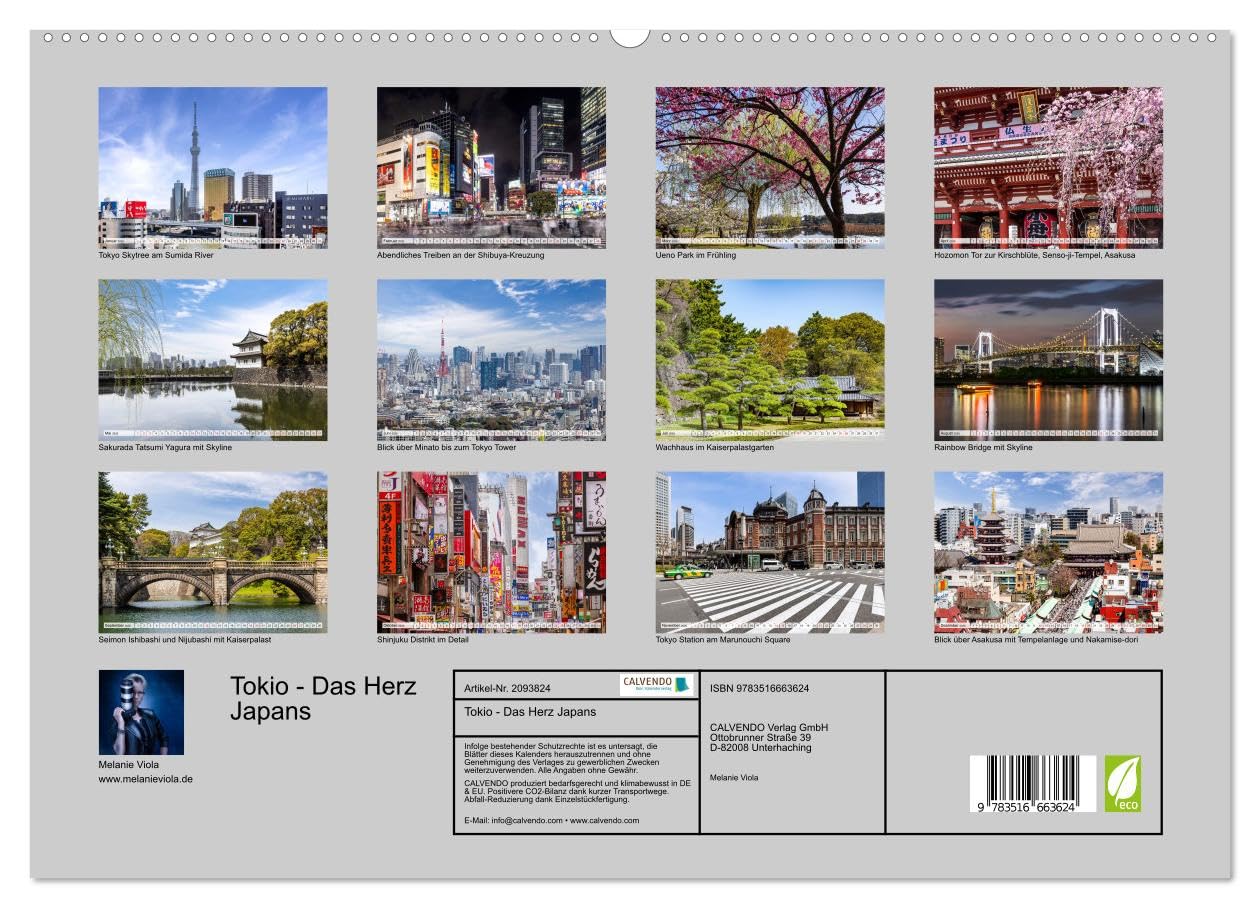 Tokio - Das Herz Japans (hochwertiger Premium Wandkalender 2026 DIN A2 quer), Kunstdruck in Hochglanz: Tradition im Puls der Großstadt (CALVENDO Orte)