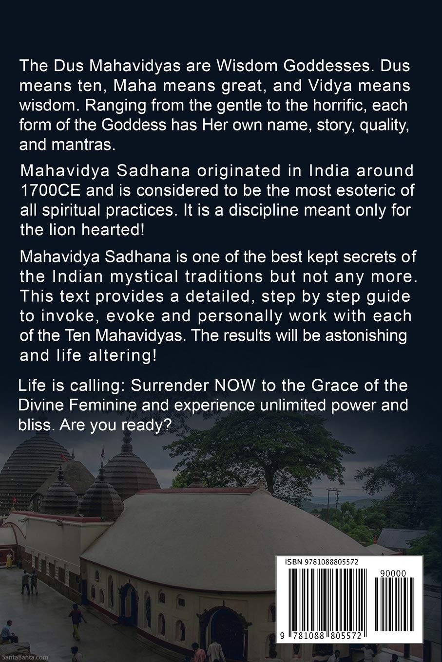 A Complete Guide To MAHAVIDYA SADHANA: Harnessing the Power and Grace of the Divine Feminine