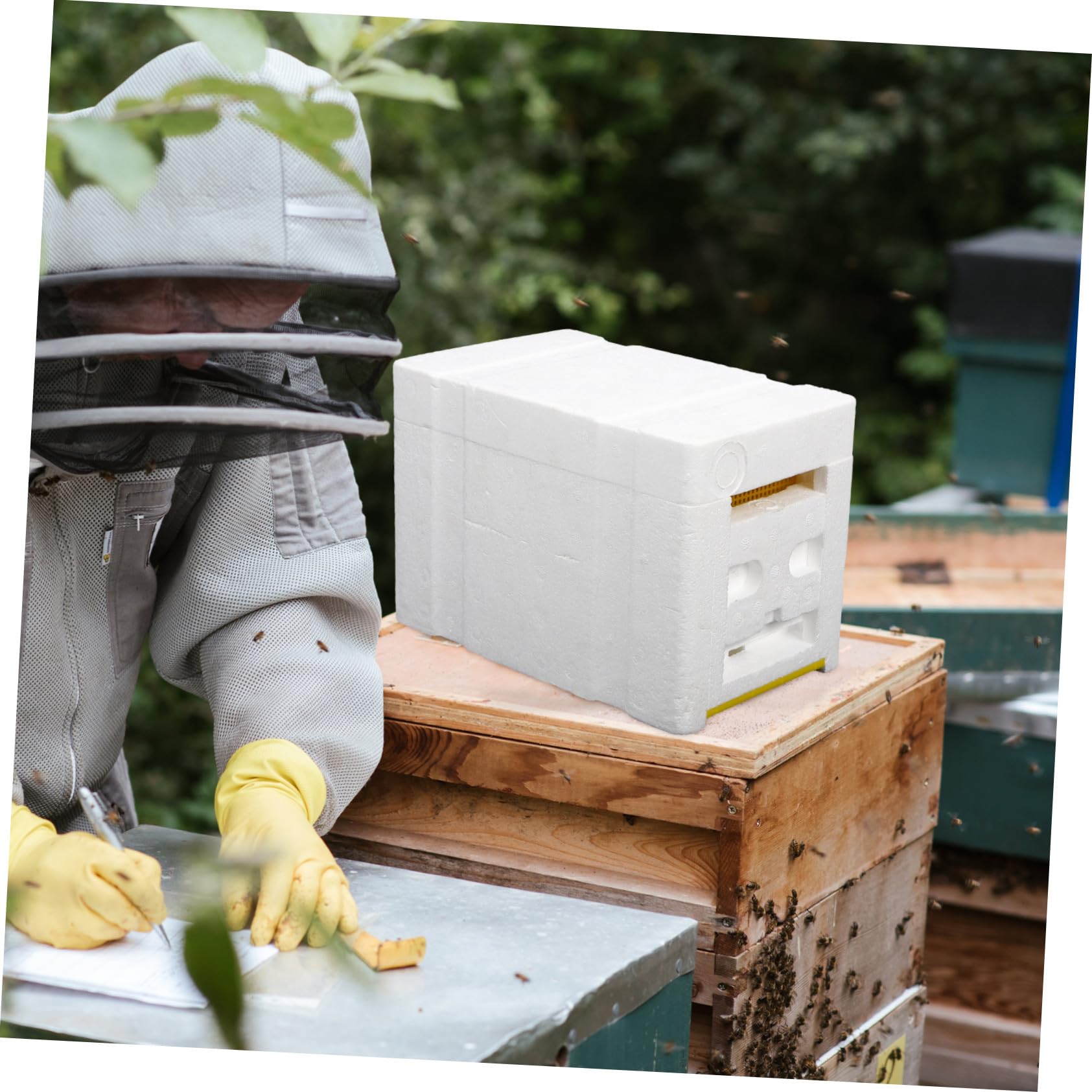 Scatola Impollinatrice per Apicoltura in Plastica Resistente, Arnia da 3 Griglie per Accoppiamento Api, Strumento Assemblato per Apicoltori e Alimentazione Api in Giardino