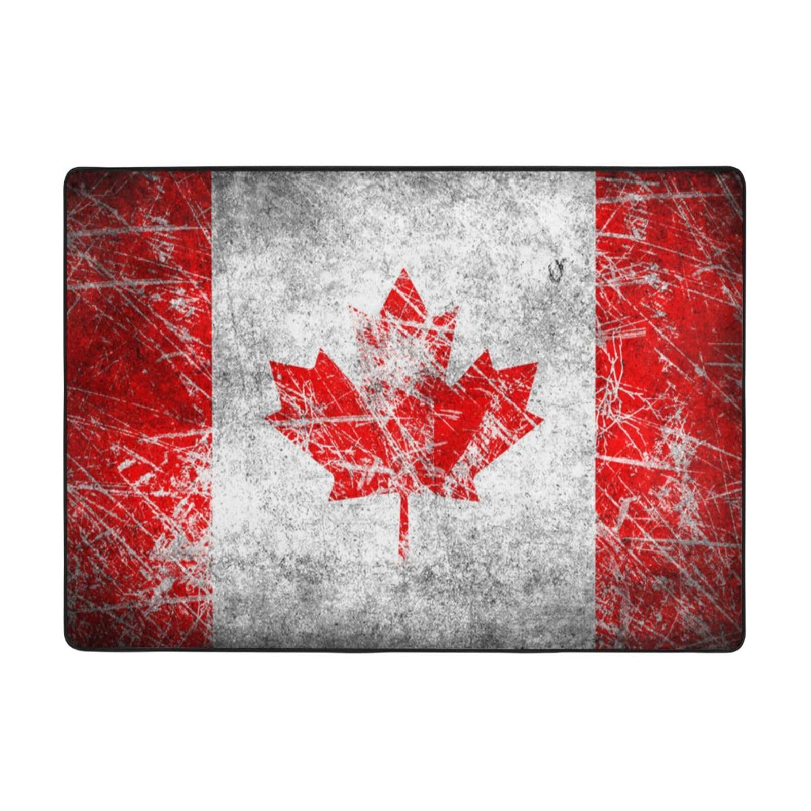 Tapis moderne à poils longs grande taille lavable pour salon et chambre