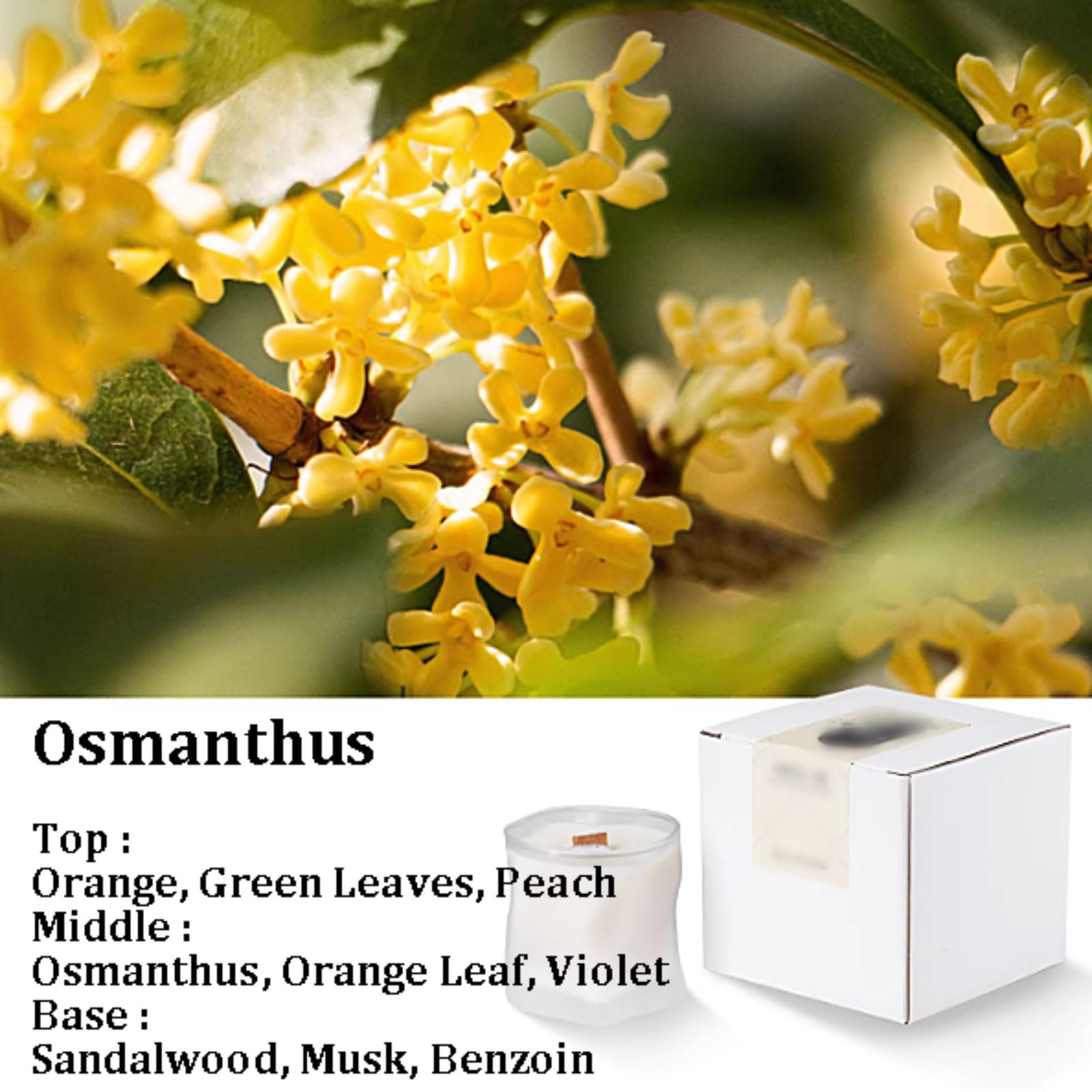 Świeca zapachowa, Osmanthus Drzewo sandałowe Świece zapachowe ze szkła Wosk sojowy Roślinne olejki eteryczne Wystrój domu(Osmanthus)