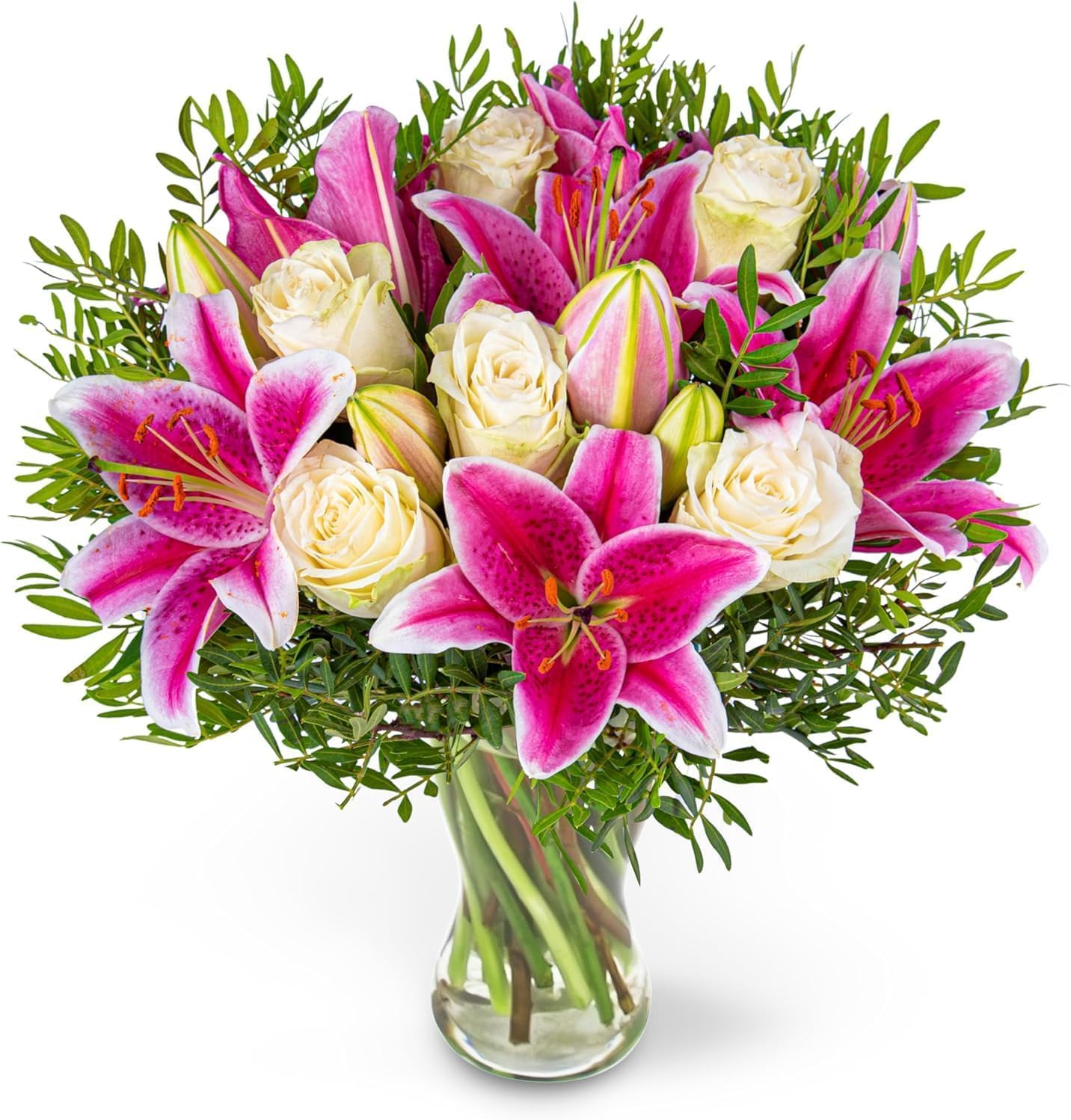 De Prachtige Mooie Heldere Kruiden Bloemen Rode Roze Lelies Van De De Kruiden Bloemen Rode Roze Lelies Van Lentezomer Bloeit Met Groene Bladerenvector Image135696548
