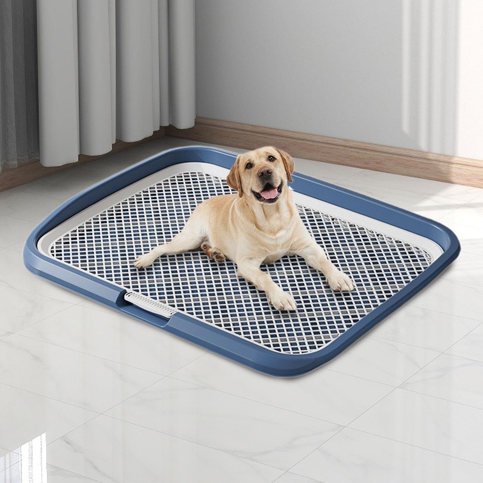 Bandeja Sanitaria para Perros Arenero Reutilizable Inodoro para Cachorros Y Orinal Que Protege Suelos Y Mantiene Patas Limpias Adecuado para Entrenami