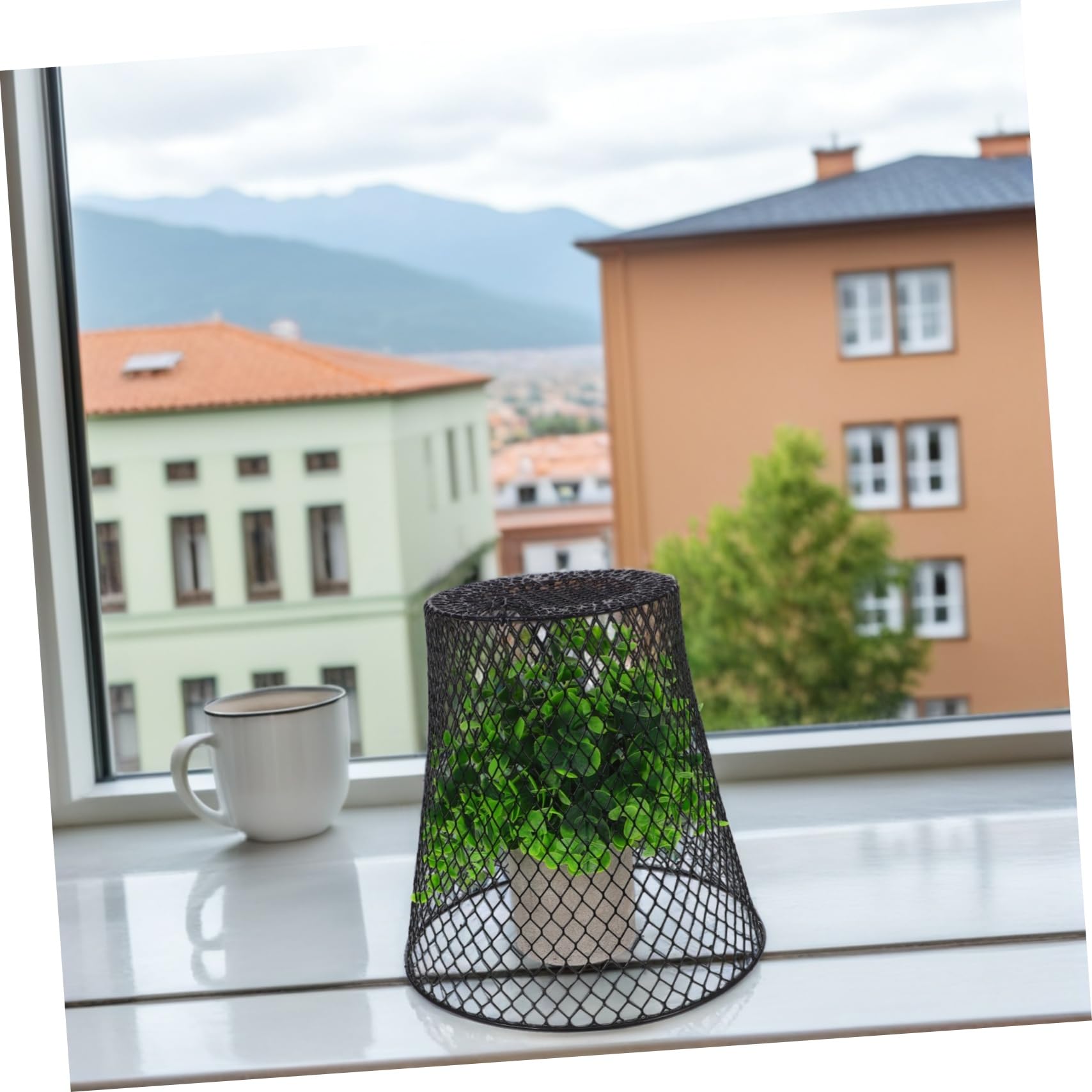 HEMOTON Cloches De Protection pour Plantes Cages Métalliques Robustes Fil De Fer pour Semis Et Légumes Utilisables Extérieur sur Balcon Petits Jardins