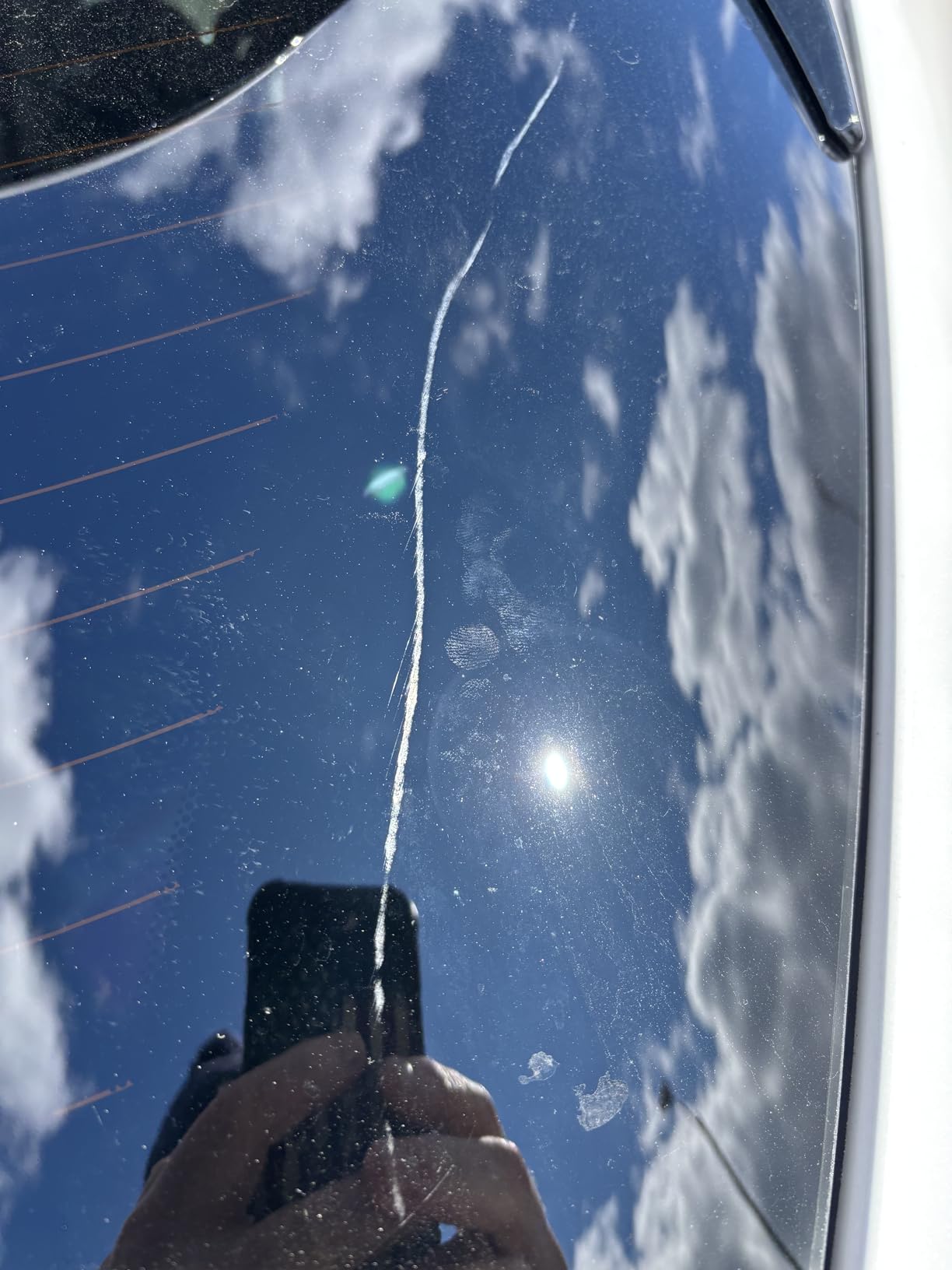 Customer photo 1