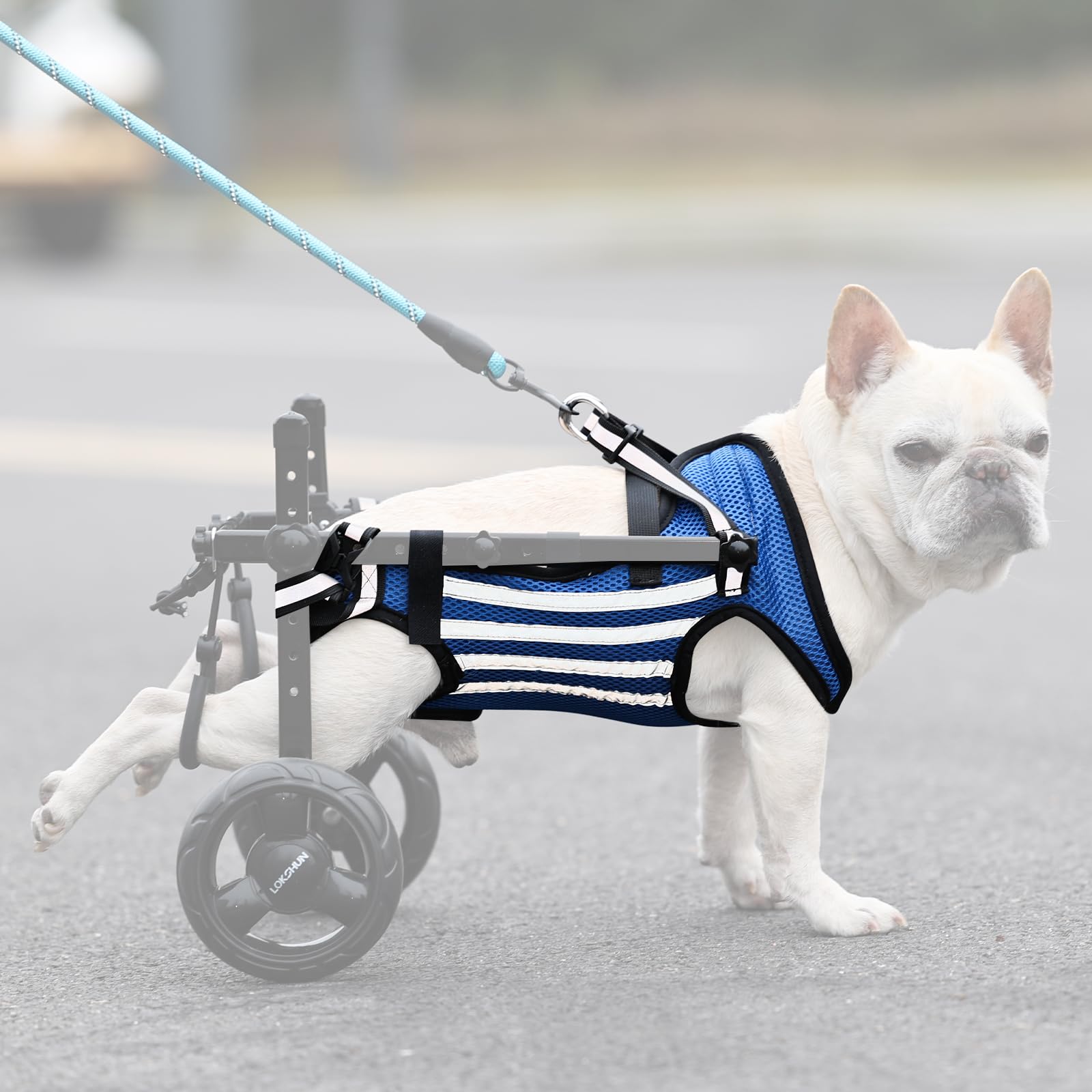 Arnés para silla de ruedas para perros para patas traseras, accesorios de repuesto para silla de ruedas para perro, ropa suave y transpirable para perros