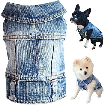 Puppy jean jacket Clearance