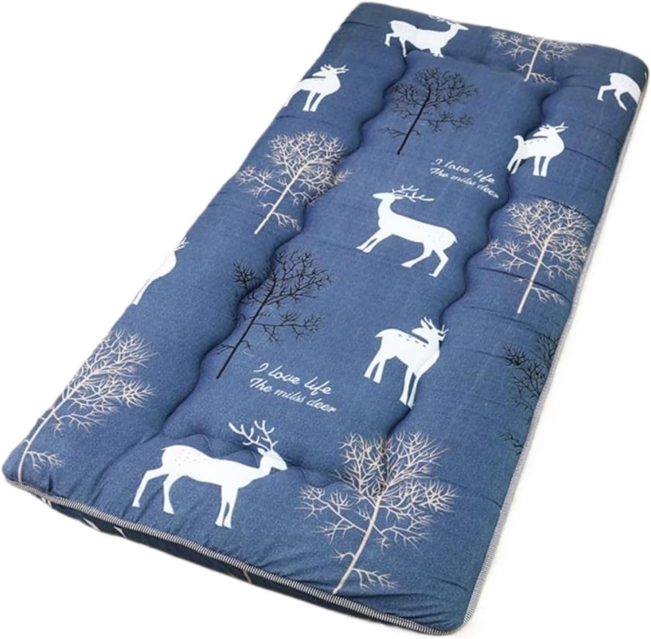Soft Foldable Portable Mattress Double Single Japanese Futon Tatami Roll Mat Folding Large Mattress for Home Dome D