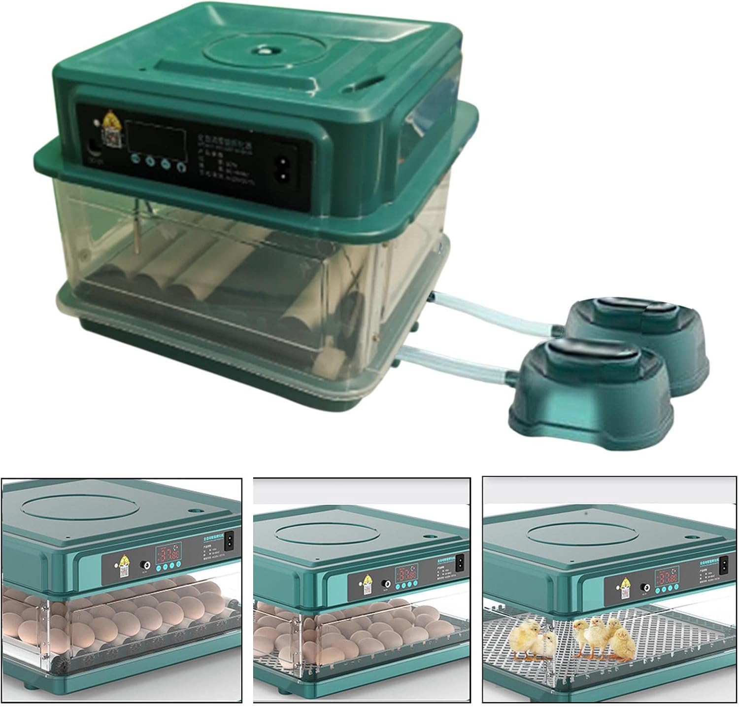 ハトのための自動インテリジェントな卵インキュベーター小さな卵ハッチャーマシンひよこのインキュベーター, 卵6個