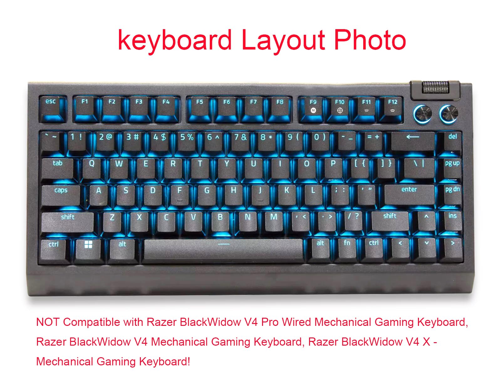 Amazon.co.jp: シリコンキーボードスキンカバー Razer BlackWidow V4