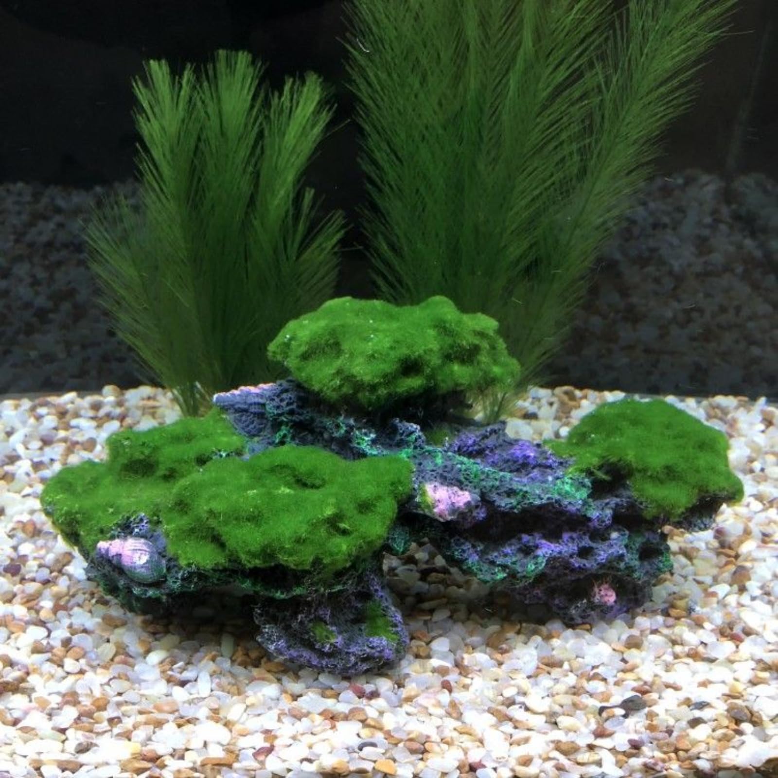 Decorazione per acquario in resina, barriera corallina, 27,5 cm, decorazione per acquario
