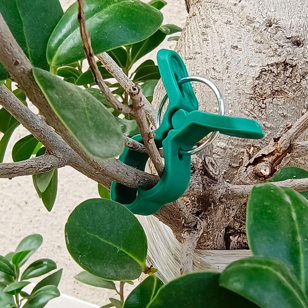 Pinces Pour Support De Plantes/treillis, Lot De 100