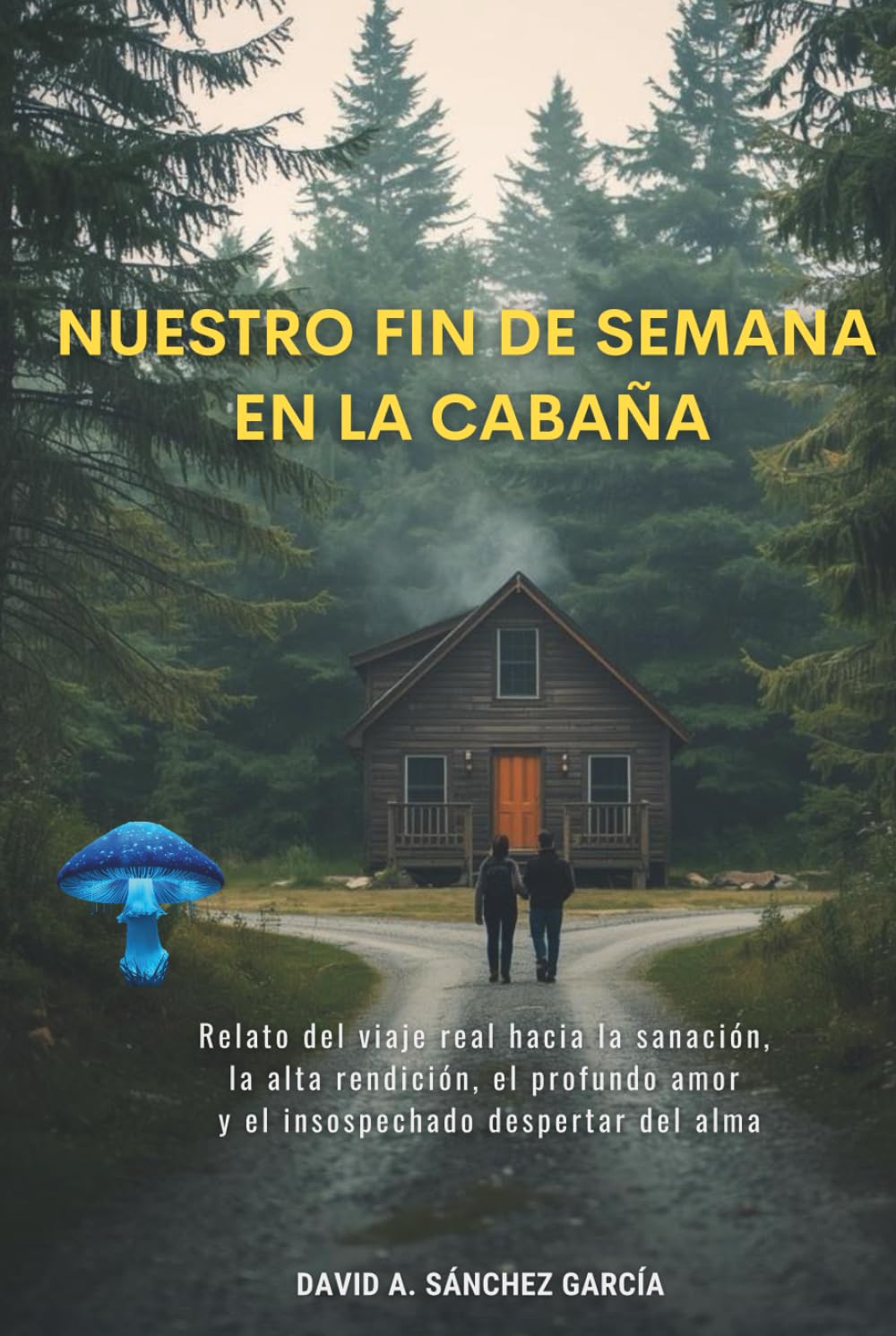 Nuestro Fin de Semana en la Cabaña: Relato del viaje real hacia la sanación, la alta rendición, el profundo amor y el insospechado despertar del alma