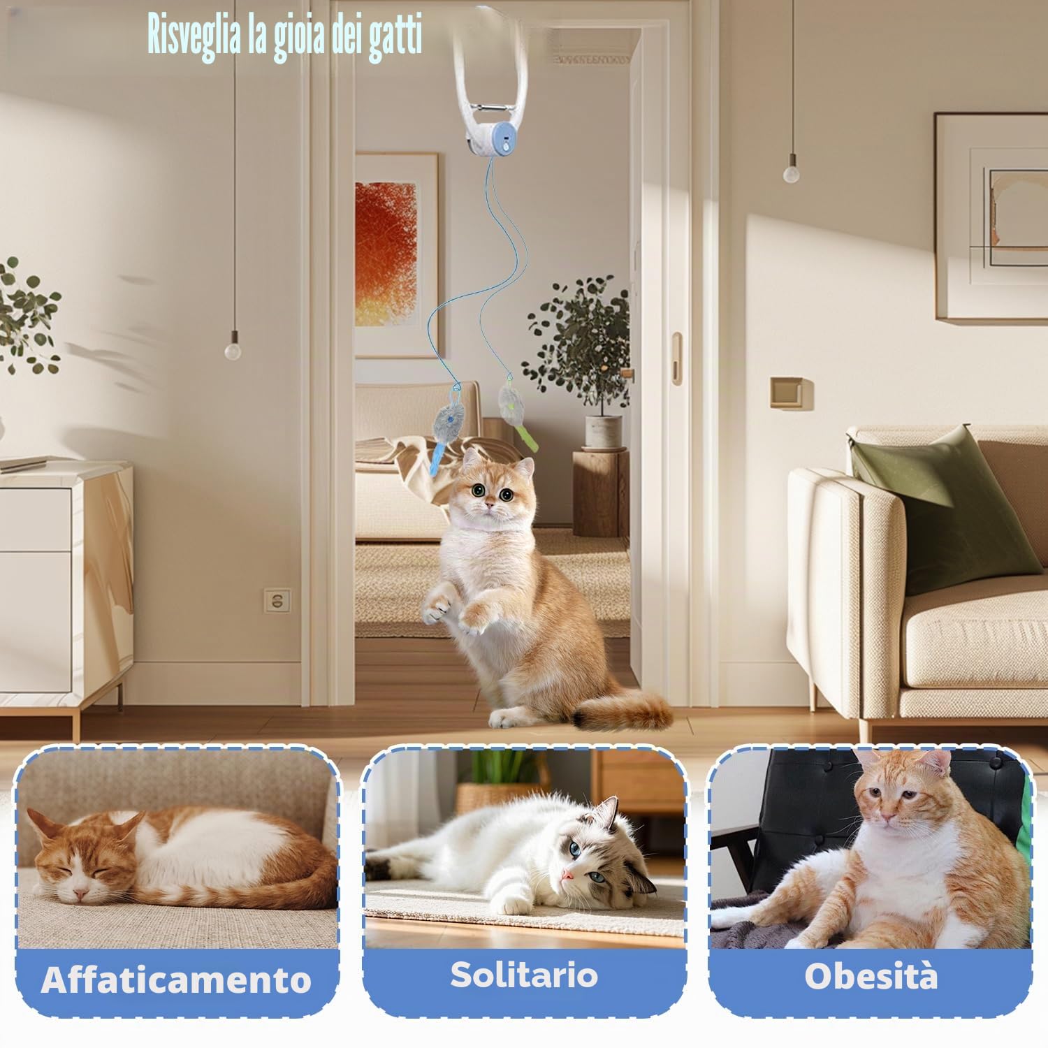 Giocattolo Per Porta Per Gatti, Giocattolo interattivo per gatti da Appendere alla porta, Giocattoli per Gatti da Appendere Alla Porta, Gioco Appeso Automatica per Gatto, per Gatto e Gattini