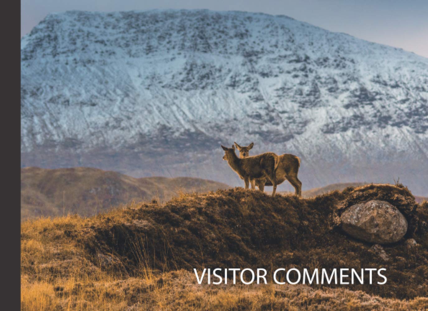 Visitor Comments: Guest Book For Holiday Home Cottage Apartment Scottish Highlands