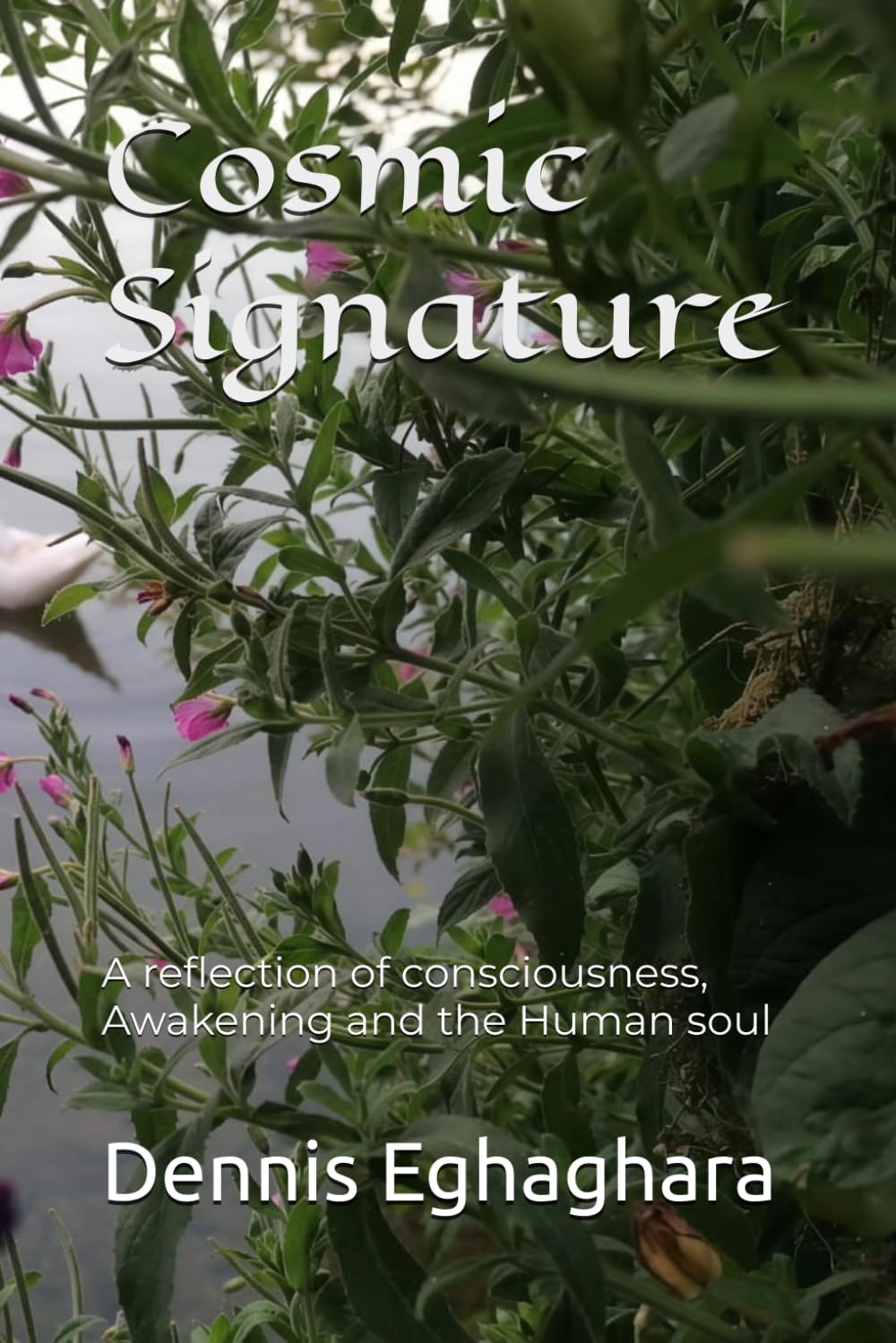 Cosmic Signature: A reflection of consciousness, Awakening and the Human soul