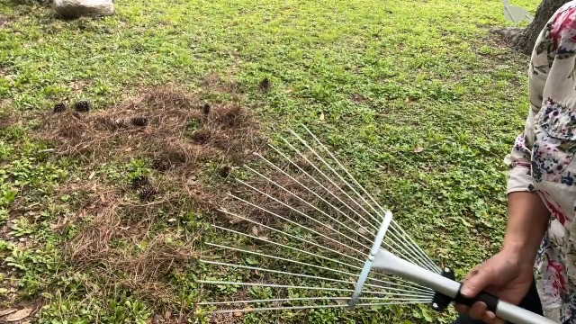 Rastrillo ajustable para hojas de jardín Buyplus miniatura 7