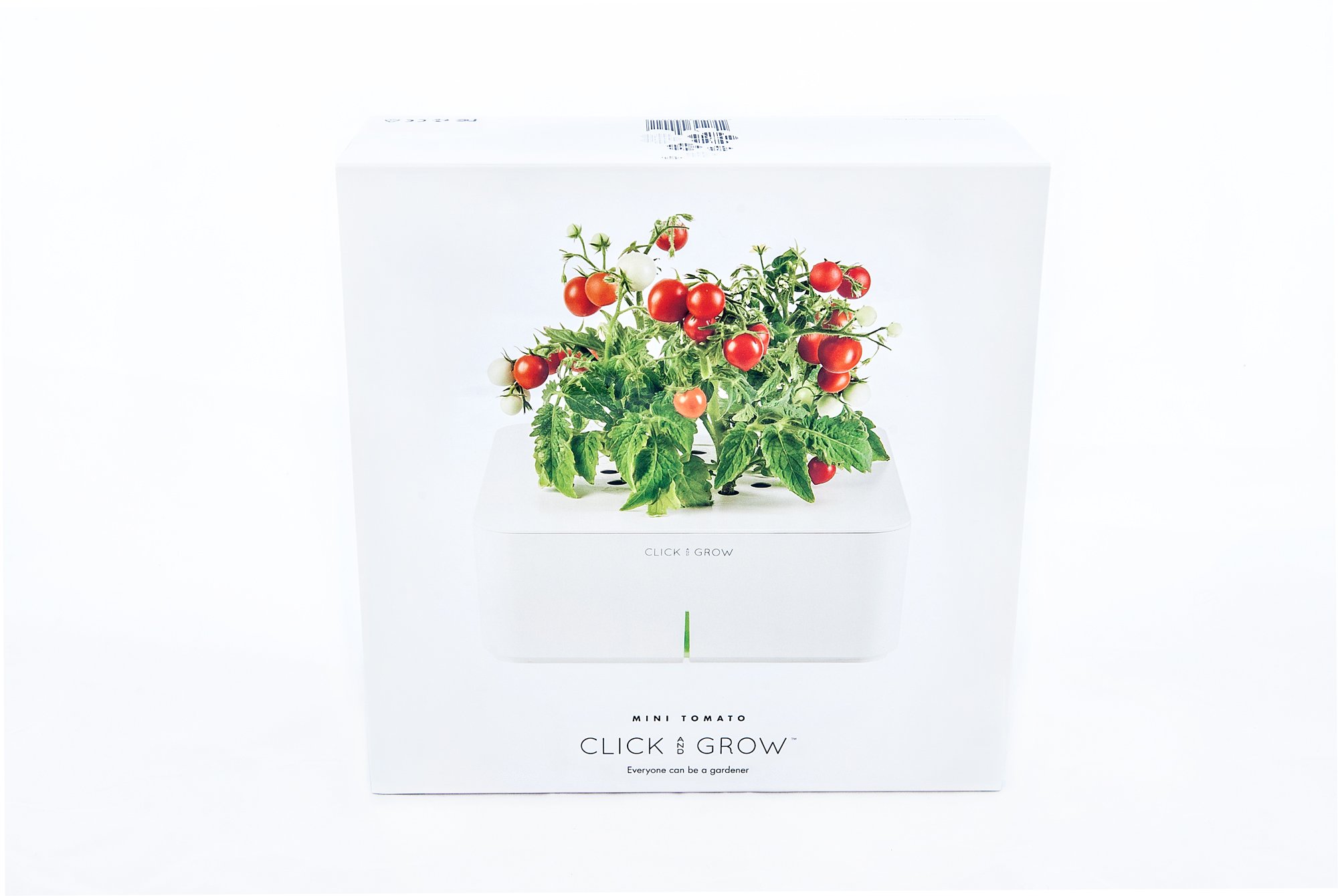 Click&Grow Starter Kit Mini Tomato Pianta di Mini Pomodori