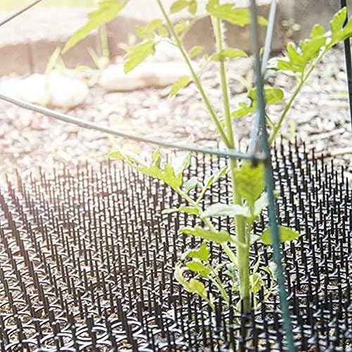 Miniatura 4 de Tapete antiarañazos para gatos con picos para interiores y exteriores, para jardín, valla, red anti gatos, tapón de excavación, tira de espinillas,