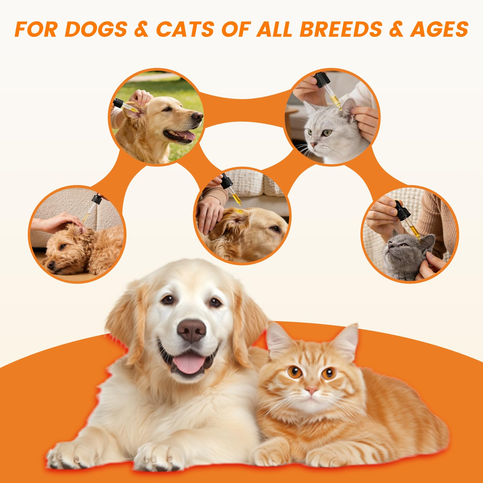 4 Pack Dog Ear Drops, Dog Ear Cleaner Drops, Ear Infection Treatment for Dogs and Cats, Natural Herbal Ear Cleaning Solution for Dirty,Itchy,Smelly,Inflammed Pet Ears, 2 oz with Dropper - image 7