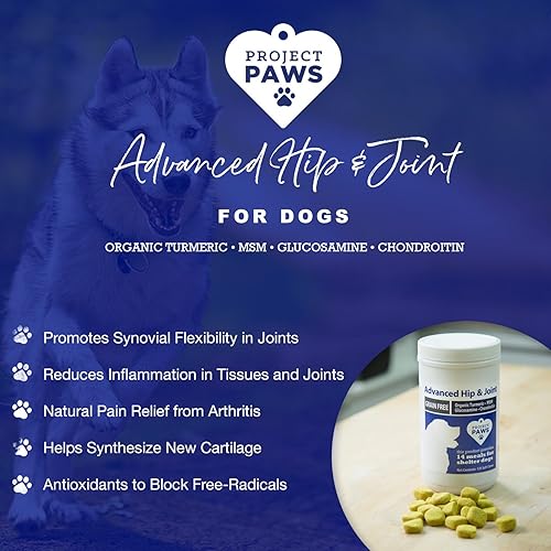 Miniatura 3 de Suplemento para cadera y articulaciones de perros Project Paws, suplemento masticable avanzado y suave para caninos, MSM, glucosamina, condroitina,