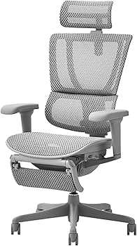Amazon | エルゴヒューマン2(Ergohuman2) オフィスチェア ヘッドレスト