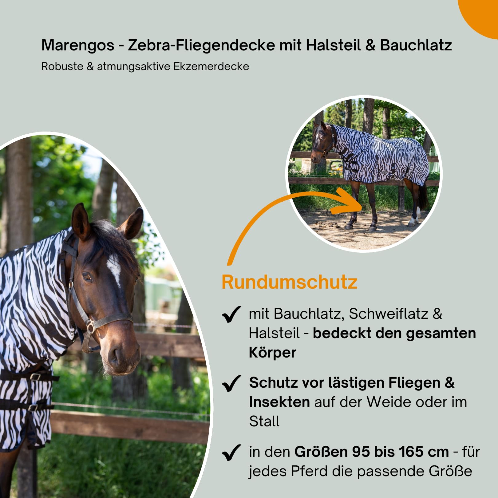 Marengos Zebra-Fliegendecke mit Halsteil & Bauchlatz 145cm robuste atmungsaktive Ekzemerdecke Insektenschutz winddurchlässig Outdoor-Pferdedecke