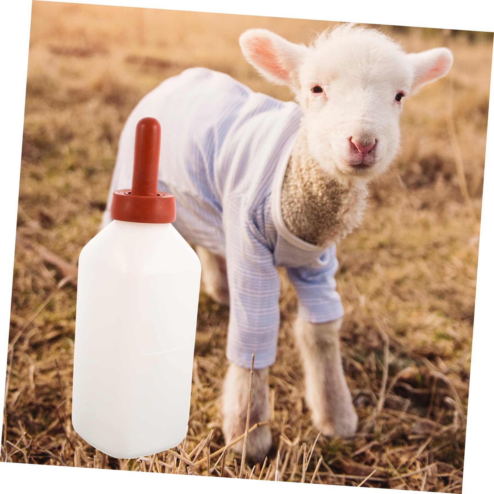 Firschoie Trinkflasche 2 Liter, Wasserflasche mit Skala, BPA-freie