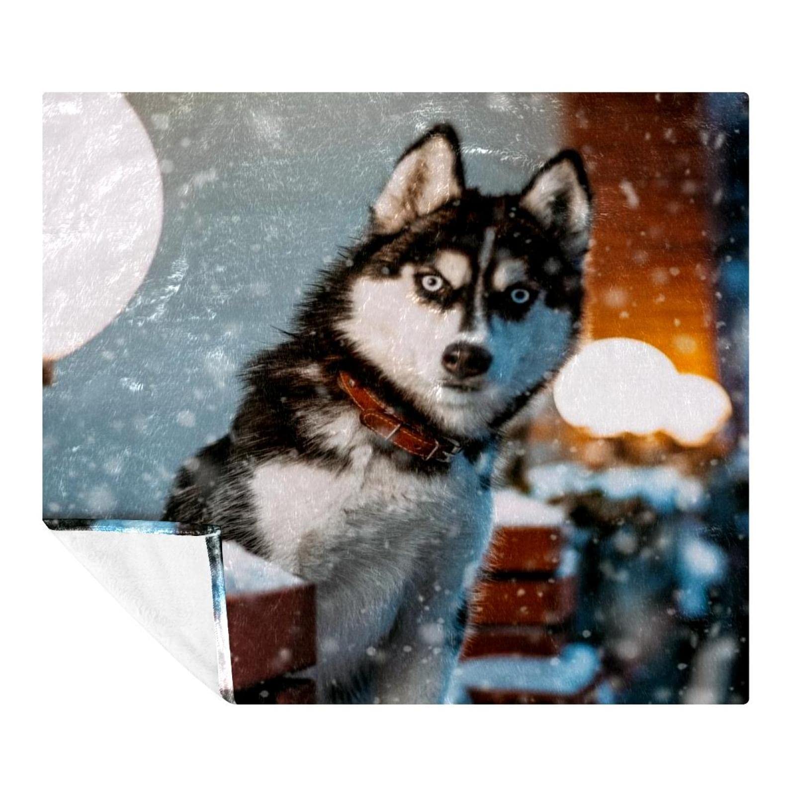Couverture douce Husky idée cadeau idéale pour lit d'enfant et jeté de canapé