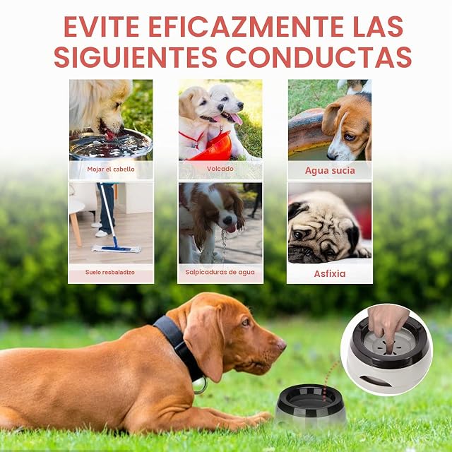 Foto 2 de 7 de TOWEAR Cuenco Flotante para Mascotas, antidesbordamiento, antiasfixia, no derrame, para Mascotas, para Perro