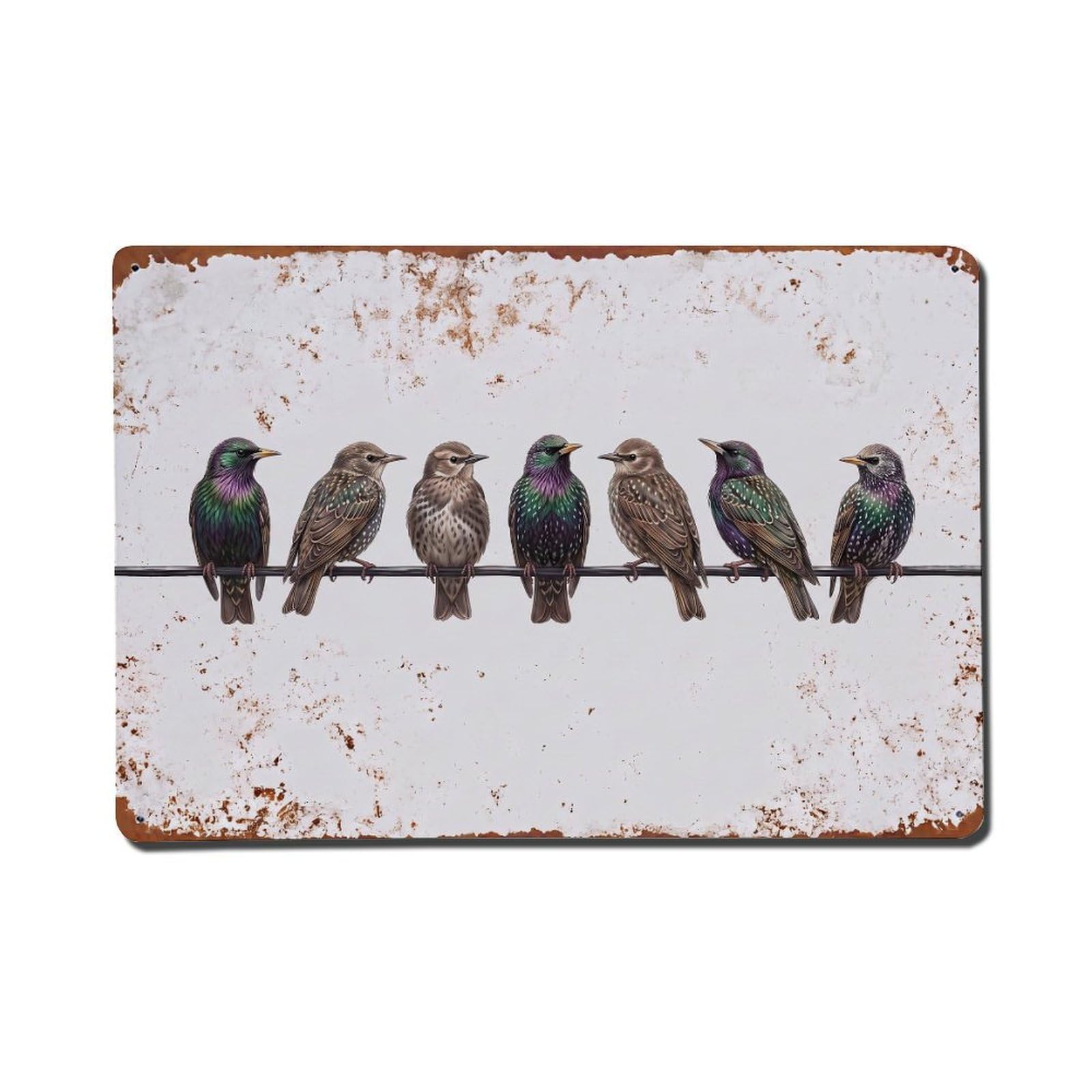 Vintage Retro Birds Common Starling Metal Tin Sign
