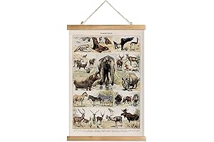 XIAOAIKA Vintage Animal Wall Art: A Timeless Safari in Your Home