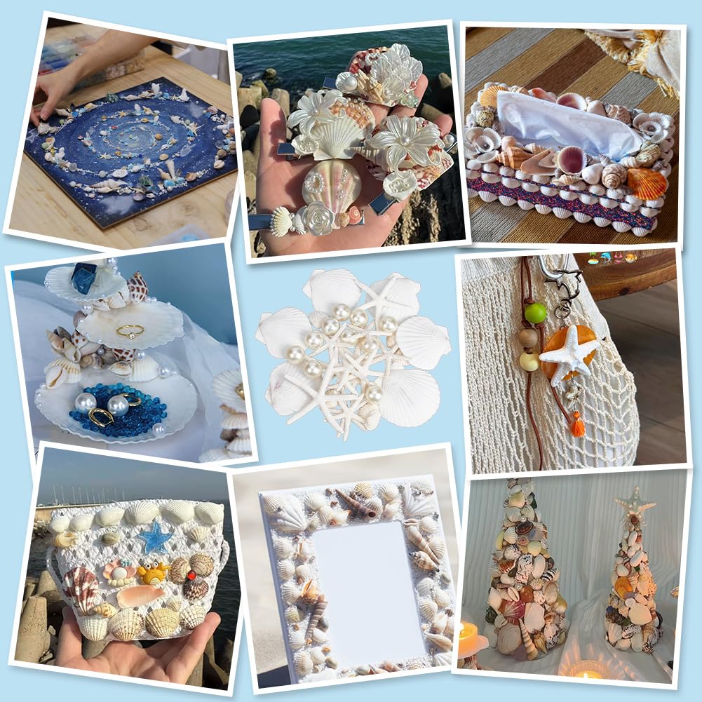 Nbeads 25 Pz di Stelle Marine Grandi e Conchiglie di Capesante, Conchiglie di Mare con 10 pz di Perle Acriliche Imitate per Decorazioni Natalizie, Feste in Spiaggia, Matrimoni Artigianato Fai Da Te