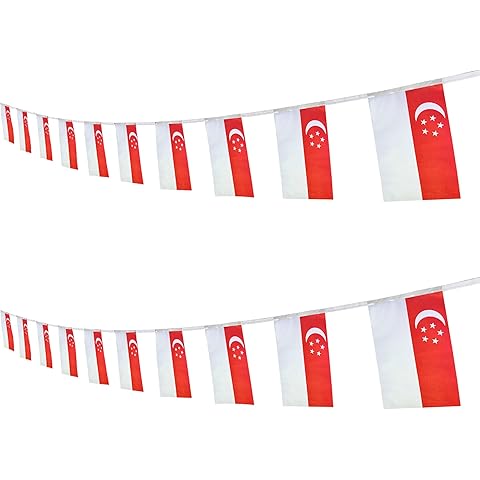 Singapore Singaporeans String Banner Flag,16 ft 20 Mini Flags String, 5.5 x 8.2 Inch String Flag Banner, Indoor and Outdoor Party Decorations.