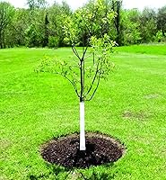 Vista 3 de Dewitt Envoltura para árbol de 3 pulgadas x 50 pies color Blanco TW3W, Blanco