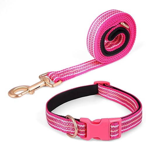 Pawhuggies Juego de collar y correa reflectante para perros de tamaño grande, correa de nailon de colores mixtos, anillo en D de acero resistente,