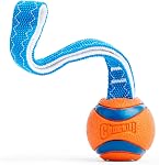 Chuckit! Medium Ultra Tug