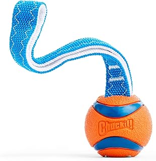Chuckit 231101 Small Ultra Tug