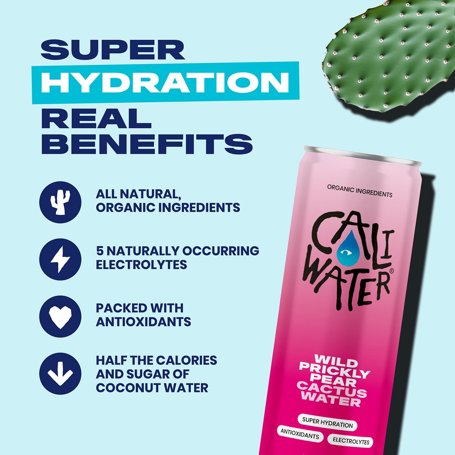 Caliwater Organic Cactus Water with Rare Antioxidants + Electrolytes for Hydration and Recovery, Plant-Based, Non-GMO, Non-Carbonated, Variety Pack, Ginger Lime & Wild Prickly Pear & Watermelon & Pineapple, 12 fl oz Cans (Pack of 4) - Image 4