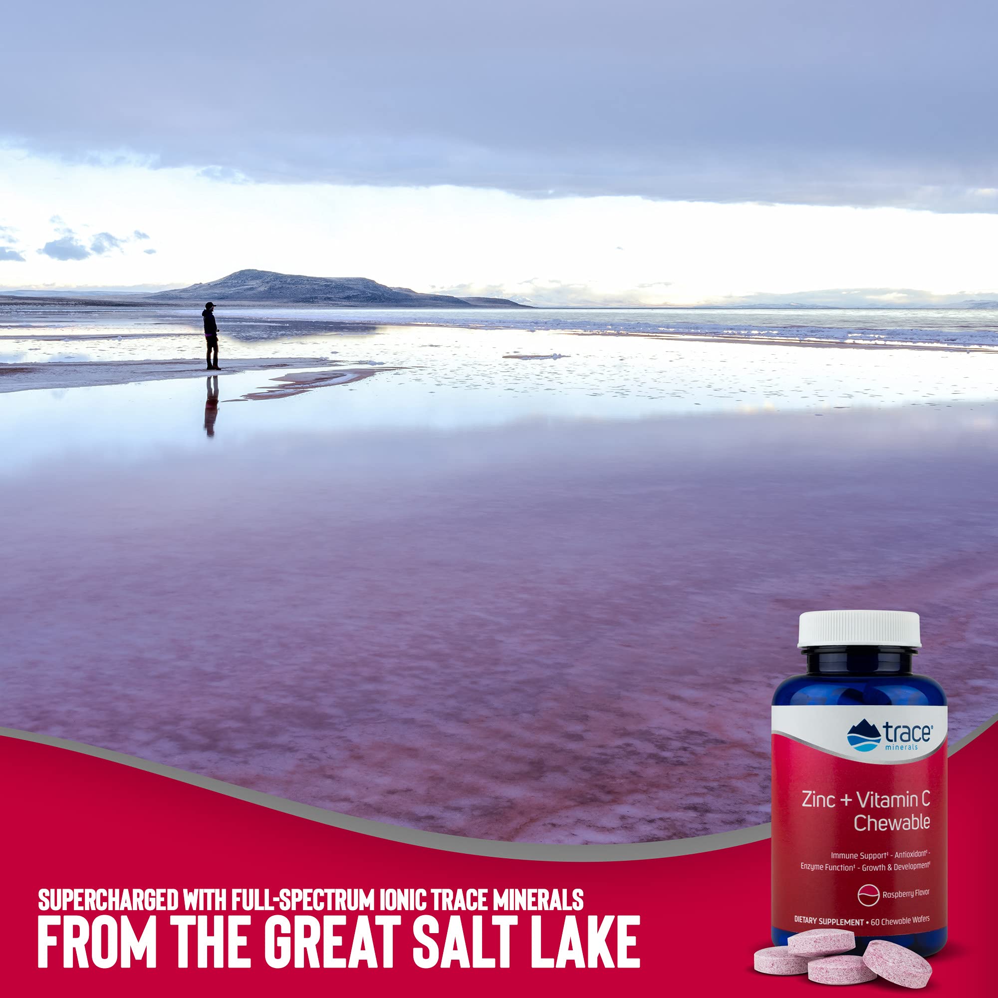 Buy Trace Minerals Zinc + Vitamin C Chewable Immune Booster