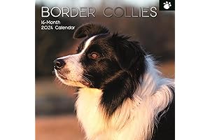 Dreamy 2024 Border Collie Calendar with 180 Paw Print Reminder Stickers