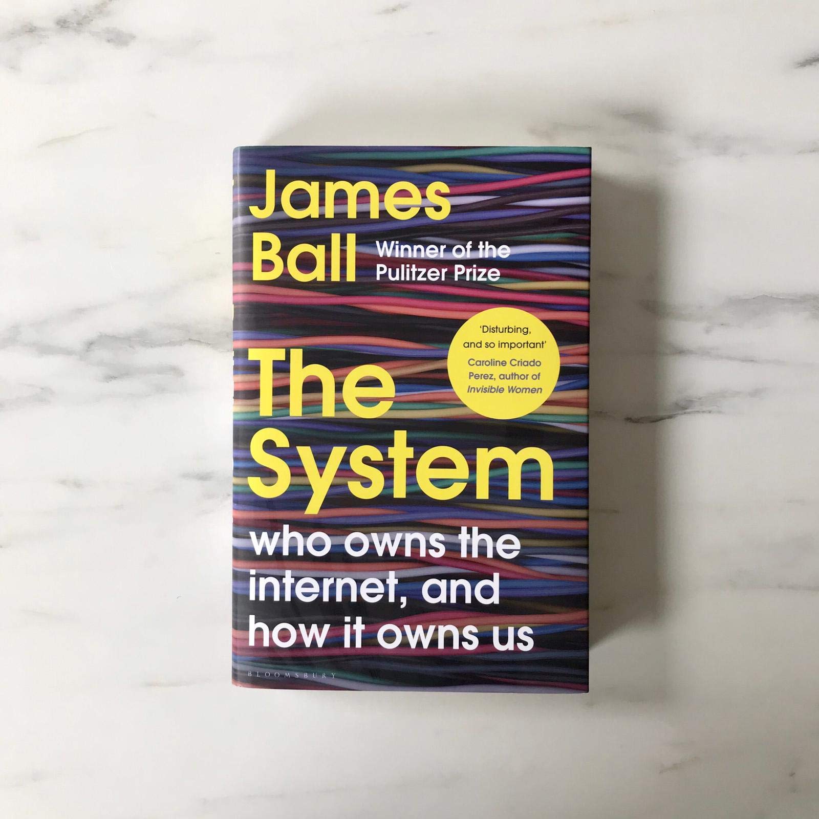 The System: Who Owns the Internet, and How It Owns Us