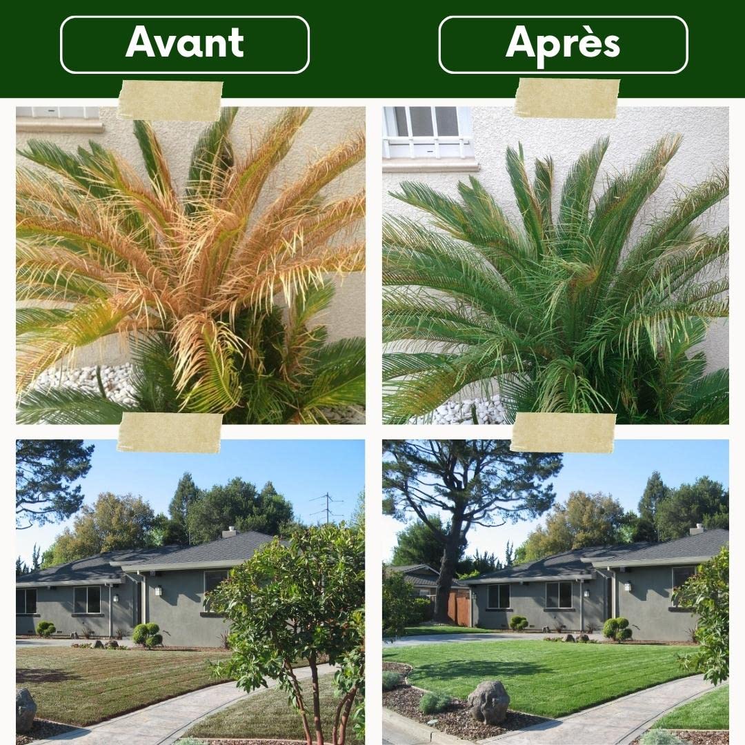 Enduit Façade Taloché Hydrofuge, Extérieur, Prêt à L'emploi ECRAN 77