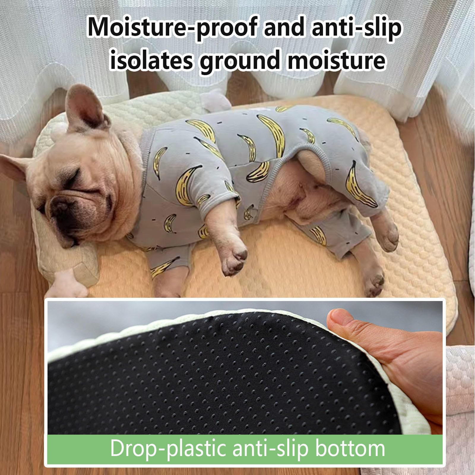 Cuccia Cane Estiva Sfoderabile E Lavabile, Letto per Cani con Lati Rialzati Tappetino Refrigerante per Gatto per L'Estate per Il Raffreddamento degli Animali,Blue-XL
