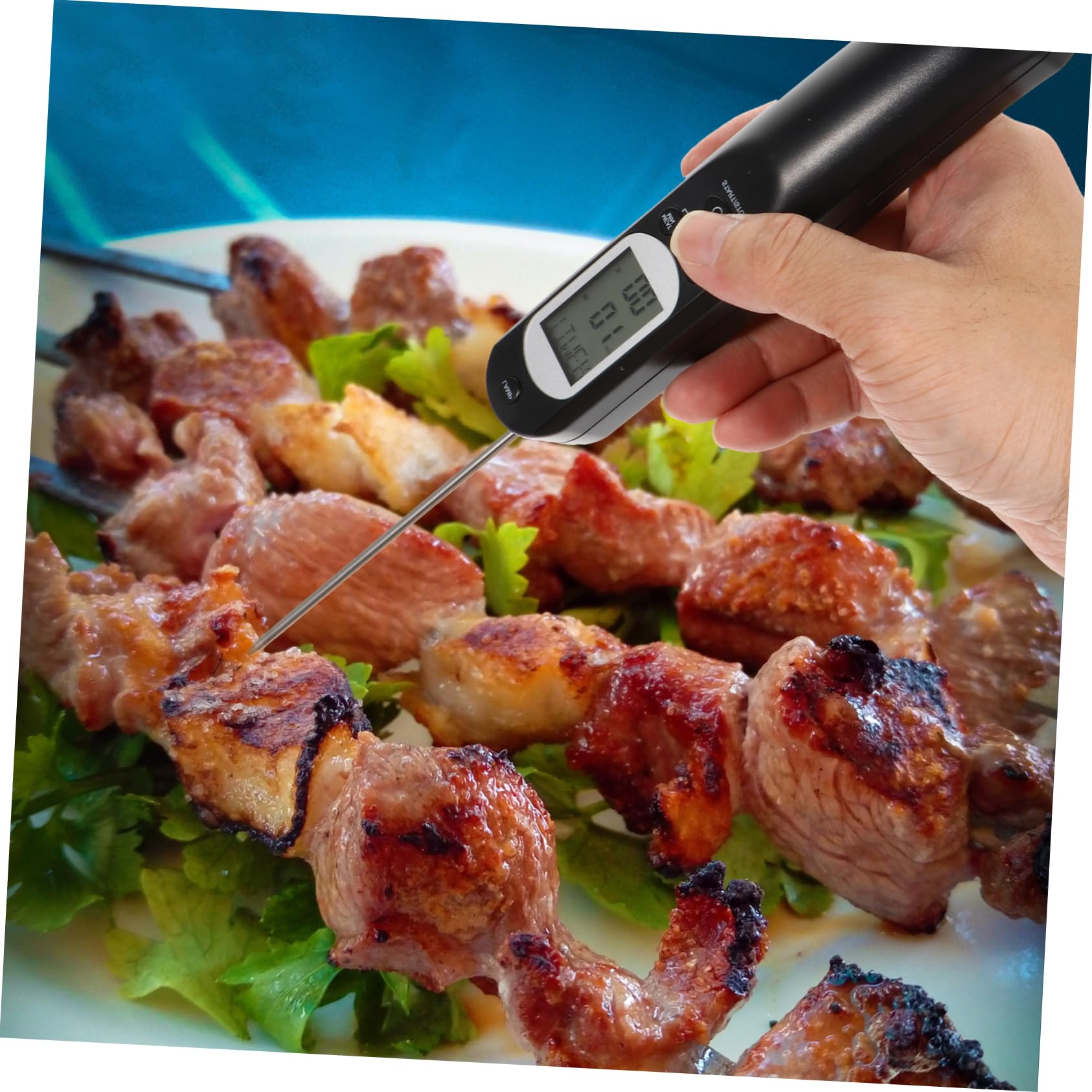 Cabilock Investigacion 1 Juego Termómetro comida de carne sonda de carne barbacoa comida digital fumador light chef termometro plastico para carne termometro digital para cocina AbS